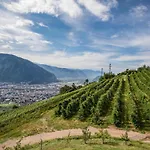 Wernerhof Rosengarten * サン・ジェネージオ・アテジーノ