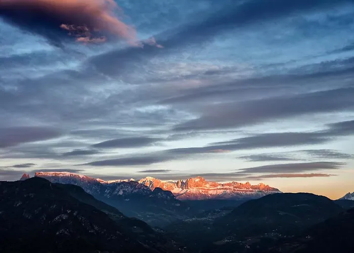 Wernerhof Rosengarten *