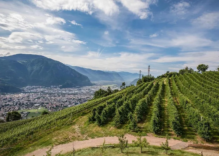 Wernerhof Rosengarten * San Genesio Atesino